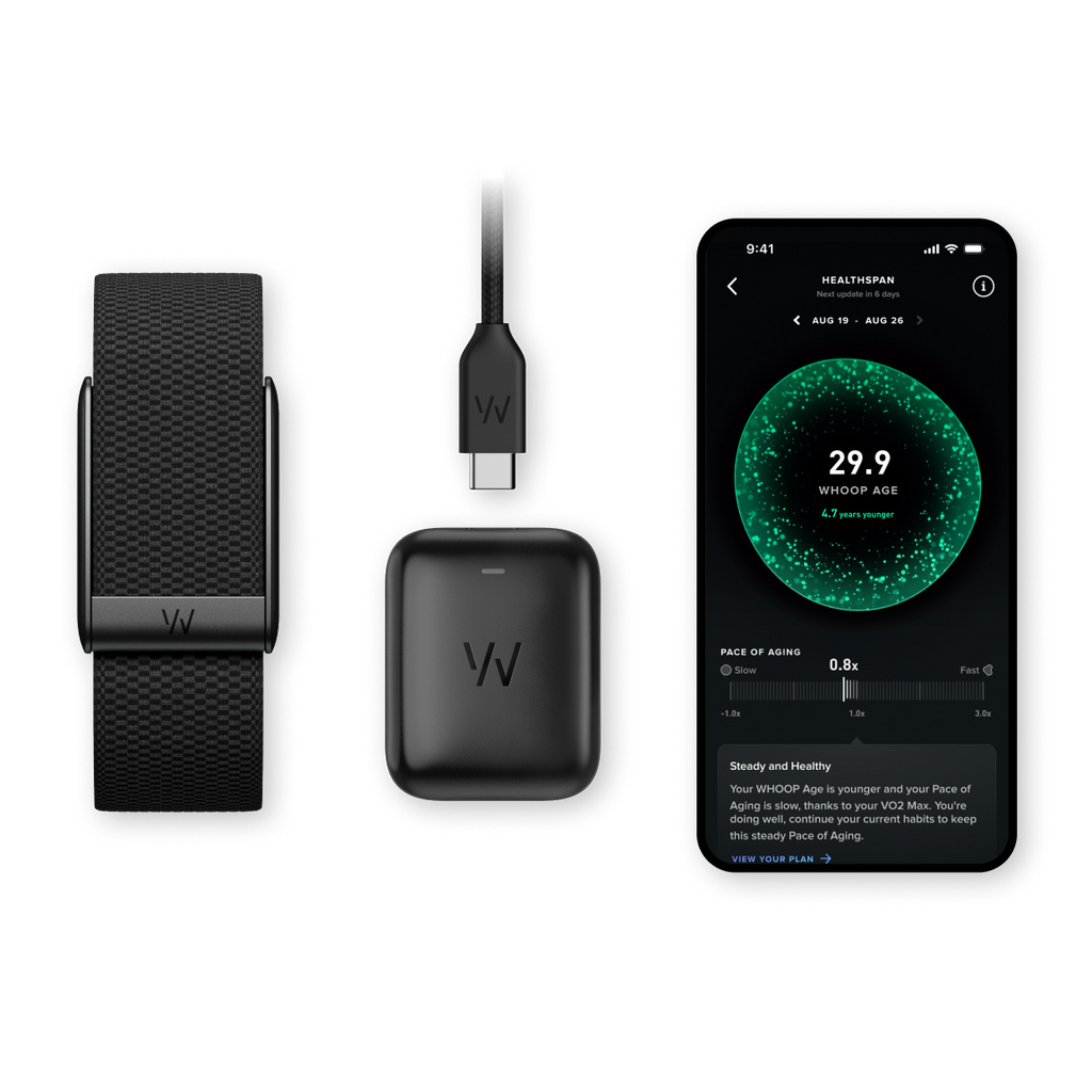  WHOOP 5.0 fitness tracker Dubai, 